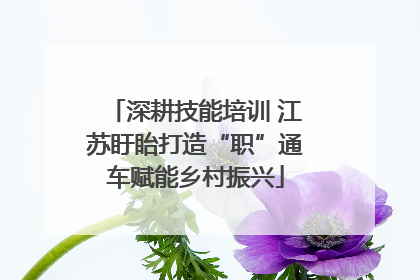 深耕技能培训 江苏盱眙打造“职”通车赋能乡村振兴