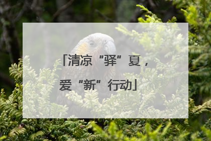 清凉“驿”夏，爱“新”行动