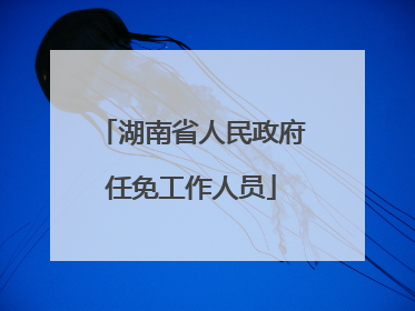 湖南省人民政府任免工作人员