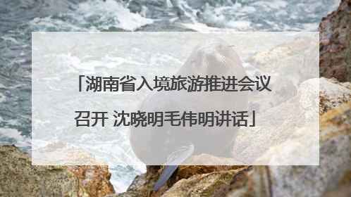 湖南省入境旅游推进会议召开 沈晓明毛伟明讲话