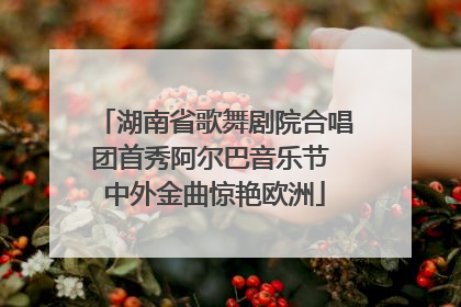 湖南省歌舞剧院合唱团首秀阿尔巴音乐节 中外金曲惊艳欧洲