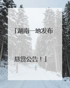 湖南一地发布悬赏公告！