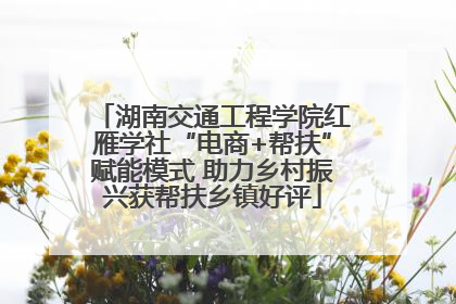 湖南交通工程学院红雁学社“电商+帮扶”赋能模式 助力乡村振兴获帮扶乡镇好评