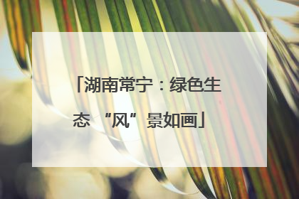 湖南常宁：绿色生态 “风”景如画