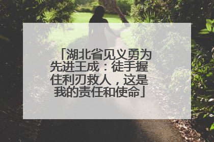 湖北省见义勇为先进王成：徒手握住利刃救人，这是我的责任和使命