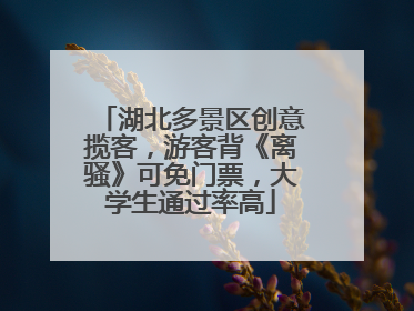 湖北多景区创意揽客，游客背《离骚》可免门票，大学生通过率高