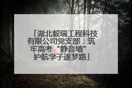 湖北毅瑞工程科技有限公司党支部：筑牢高考“静音墙” 护航学子逐梦路