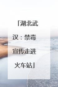 湖北武汉：禁毒宣传走进火车站
