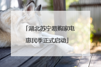 湖北苏宁易购家电惠民季正式启动