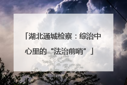 湖北通城检察：综治中心里的“法治前哨”