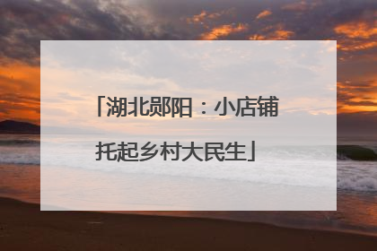 湖北郧阳：小店铺托起乡村大民生