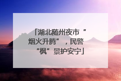 湖北随州夜市“烟火升腾”，民警“枫”景护安宁