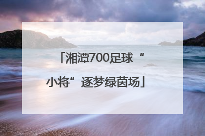 湘潭700足球“小将”逐梦绿茵场