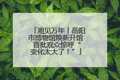 湘见万年丨岳阳市博物馆焕新开馆 首批观众惊呼“变化太大了！”