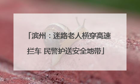 滨州：迷路老人横穿高速拦车 民警护送安全地带