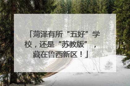 菏泽有所“五好”学校，还是“苏教版”，藏在鲁西新区！