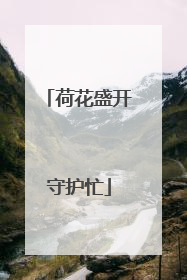 荷花盛开守护忙
