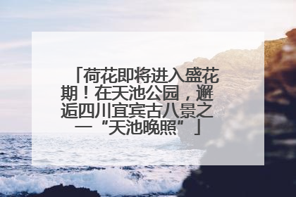 荷花即将进入盛花期！在天池公园，邂逅四川宜宾古八景之一“天池晚照”