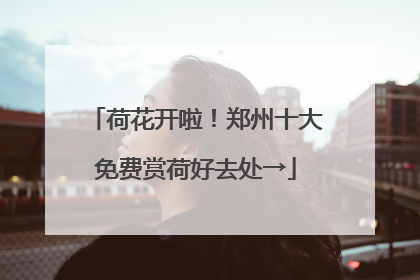 荷花开啦！郑州十大免费赏荷好去处→