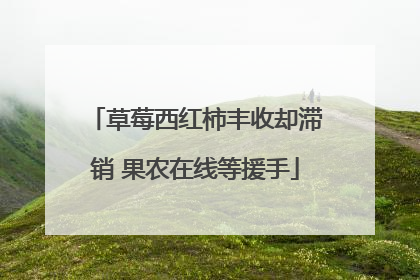草莓西红柿丰收却滞销 果农在线等援手