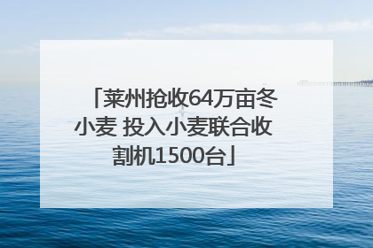 莱州抢收64万亩冬小麦 投入小麦联合收割机1500台