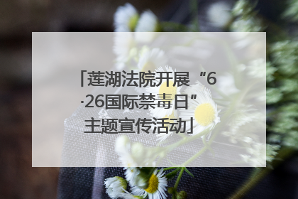 莲湖法院开展“6·26国际禁毒日”主题宣传活动