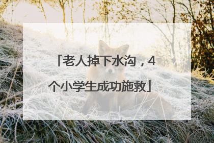 老人掉下水沟，4个小学生成功施救