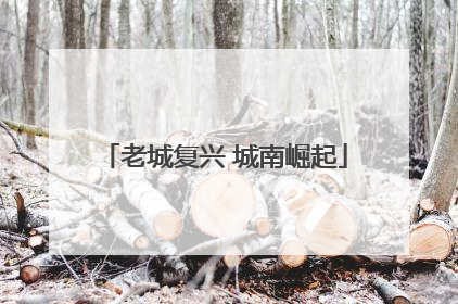 老城复兴 城南崛起