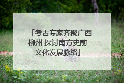考古专家齐聚广西柳州 探讨南方史前文化发展脉络