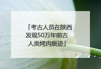 考古人员在陕西发现50万年前古人类烤肉痕迹
