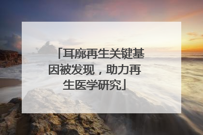 耳廓再生关键基因被发现，助力再生医学研究