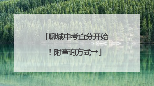 聊城中考查分开始！附查询方式→