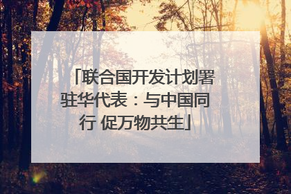 联合国开发计划署驻华代表：与中国同行 促万物共生