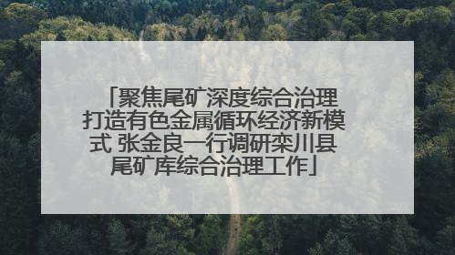 聚焦尾矿深度综合治理 打造有色金属循环经济新模式 张金良一行调研栾川县尾矿库综合治理工作
