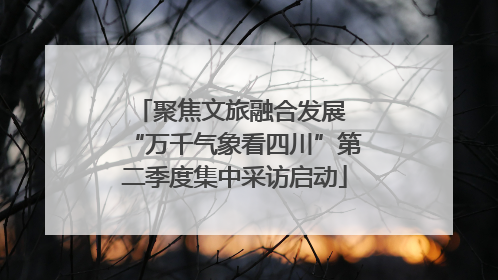 聚焦文旅融合发展 “万千气象看四川”第二季度集中采访启动