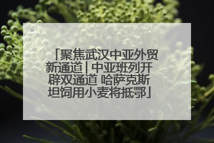 聚焦武汉中亚外贸新通道│中亚班列开辟双通道 哈萨克斯坦饲用小麦将抵鄂