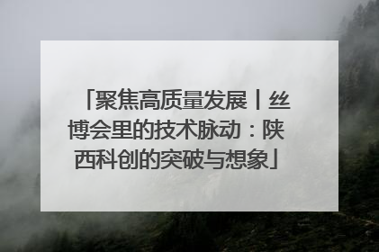 聚焦高质量发展丨丝博会里的技术脉动：陕西科创的突破与想象