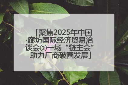 聚焦2025年中国·廊坊国际经济贸易洽谈会③一场“链主会” 助力厂商破圈发展