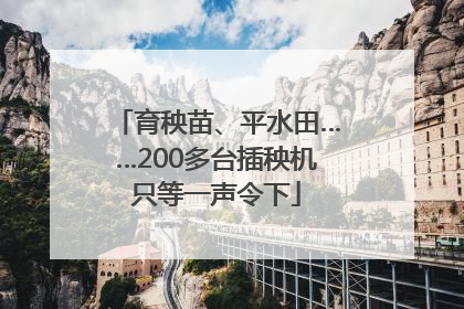 育秧苗、平水田……200多台插秧机只等一声令下