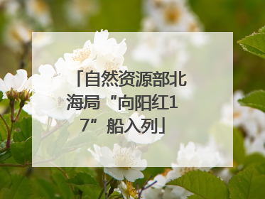 自然资源部北海局“向阳红17”船入列