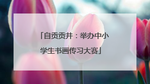 自贡贡井：举办中小学生书画传习大赛