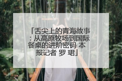 舌尖上的青海故事：从高原牧场到国际餐桌的进阶密码 本报记者 罗 珺