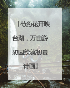 芍药花开映台湖，万亩游憩园绘就初夏诗画