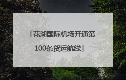 花湖国际机场开通第100条货运航线
