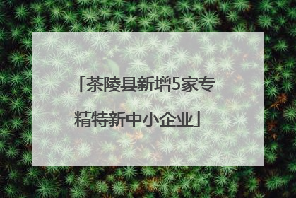 茶陵县新增5家专精特新中小企业