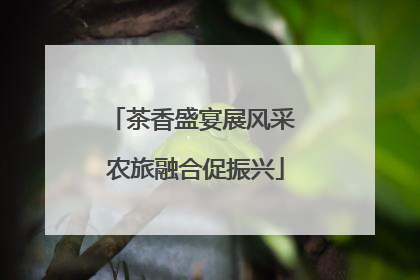 茶香盛宴展风采 农旅融合促振兴