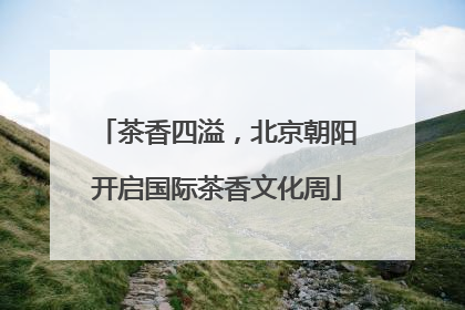 茶香四溢，北京朝阳开启国际茶香文化周