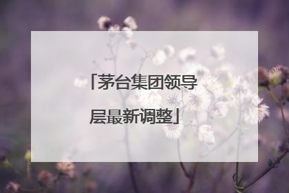 茅台集团领导层最新调整