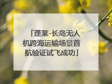 蓬莱-长岛无人机跨海运输场景首航验证试飞成功