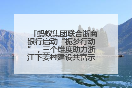 蚂蚁集团联合浙商银行启动“栀梦行动”，三个维度助力浙江下姜村建设共富示范区示范点